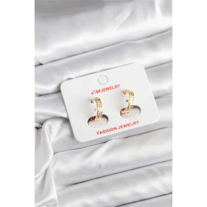 14K Gold Renk Kaplama CM Kadın Küpe - TJ-BKP11405