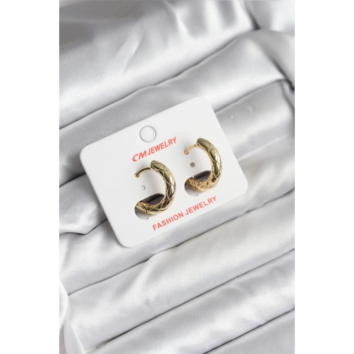 14K Gold Renk Kaplama CM Kadın Küpe - TJ-BKP11411