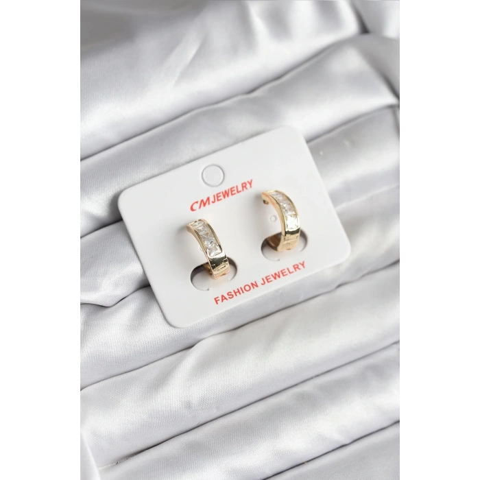 14K Gold Renk Kaplama CM Kadın Küpe - TJ-BKP11421