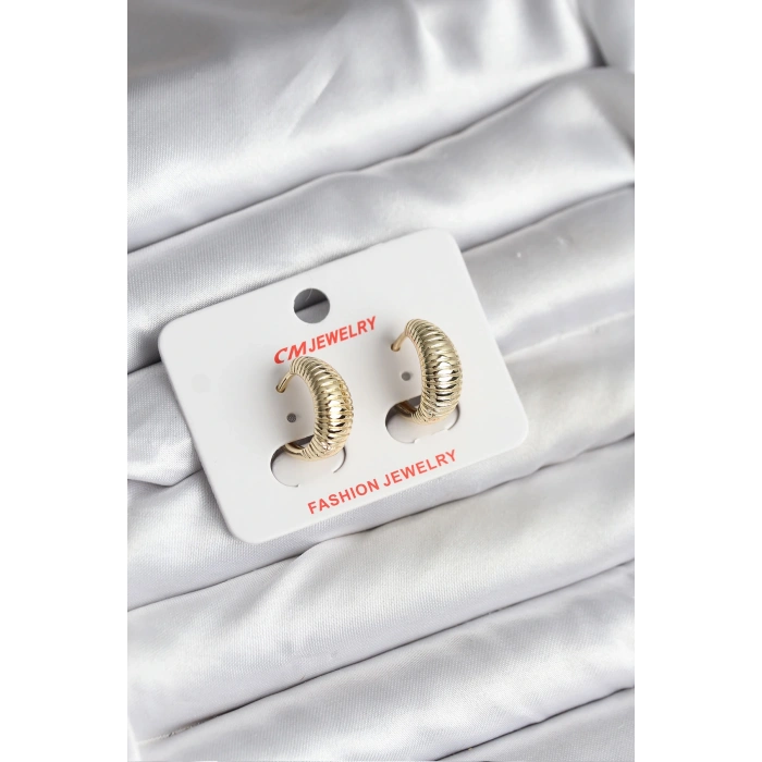 14K Gold Renk Kaplama CM Kadın Küpe - TJ-BKP11429