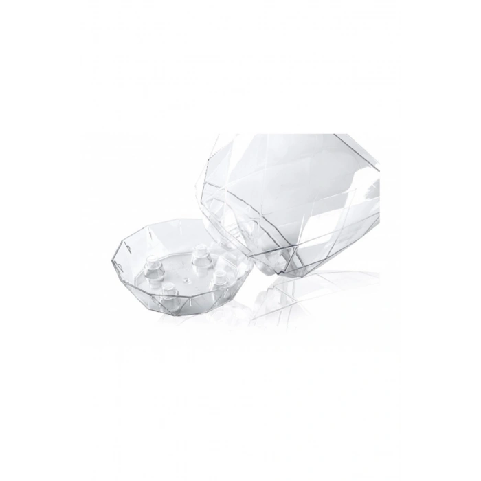 2 No Orkide Saksı Yakamoz -KRS-462