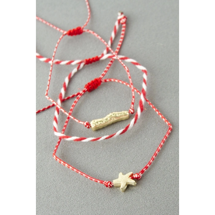 3 Adet Deniz Yıldızı Marteniçka Bileklik