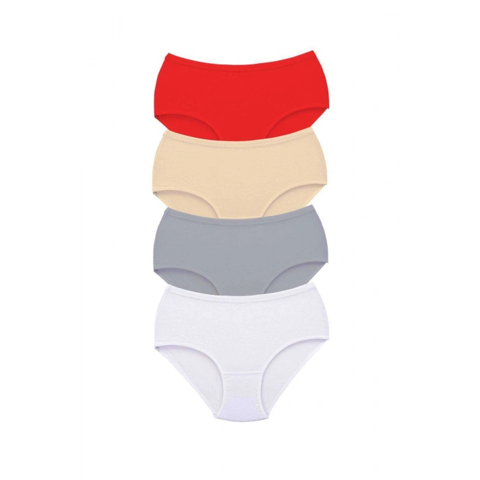 4 Adet Tutku Kadın Yüksek Bel Bato Kalın Lastik Külot S13