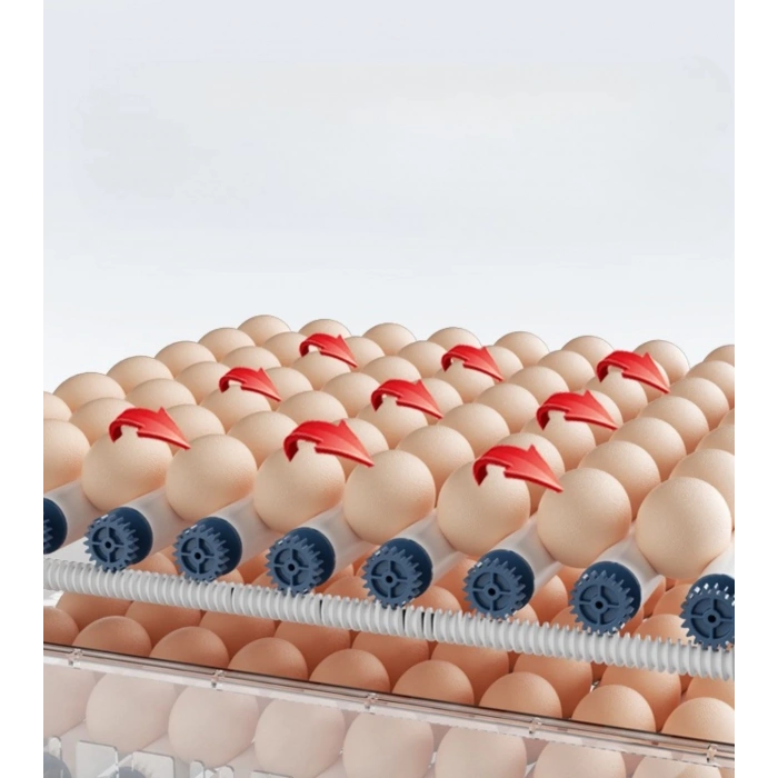 60 Yumurta Kapasiteli Tam Otomatik Kuluçka Makinesi - Civciv, Kaz, Hindi Ve Ördek Yetiştiriciliği Epo-w60