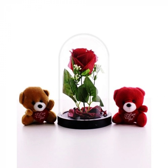 Fanusta Led Işıklı Kırmızı Gül ve 2 Adet Mini Ayıcıklar Set Sevgiliye Hediye 01C