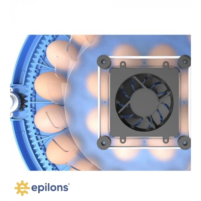 80/240 Kapasiteli Çift Viyollü Kuluçka Makinesi Kaz Ördek Tavuk Bıldırcın Kuşlar İçin
