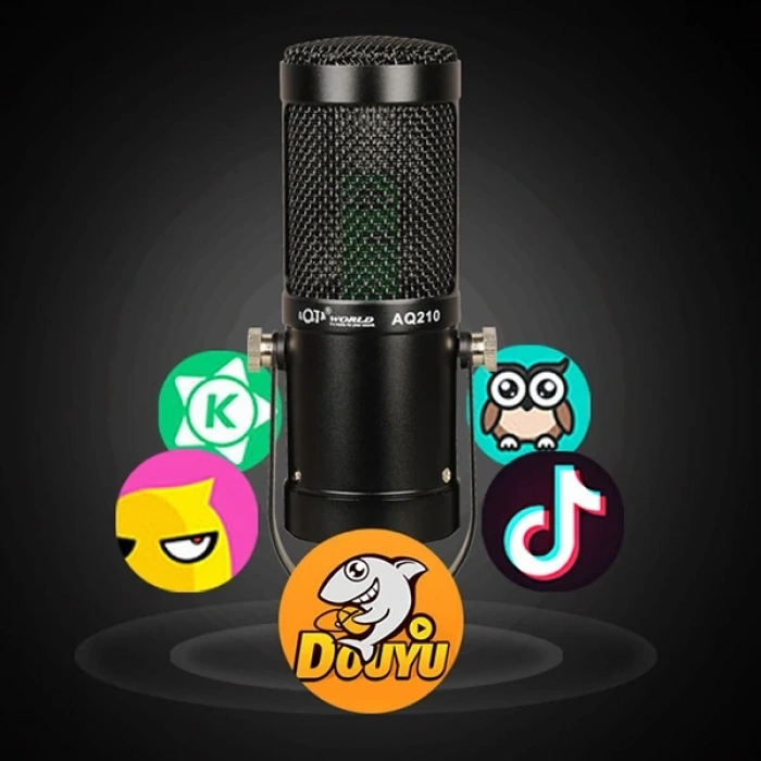 AQ210 Condenser Stüdyo Profesyonel Kayıt Ve Yayın Mikrofonu Studio-(5775)