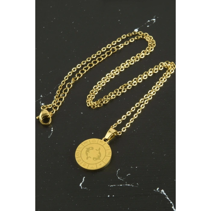 Balık Burcu Çelik Kolye