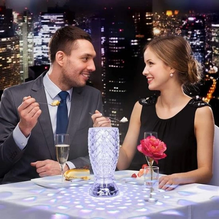 Balık Süzgeç Model USB Şarjlı Kumandalı 16Farklı Işık Modlu Masa Üstü Kristal Akrilik Led (4887)