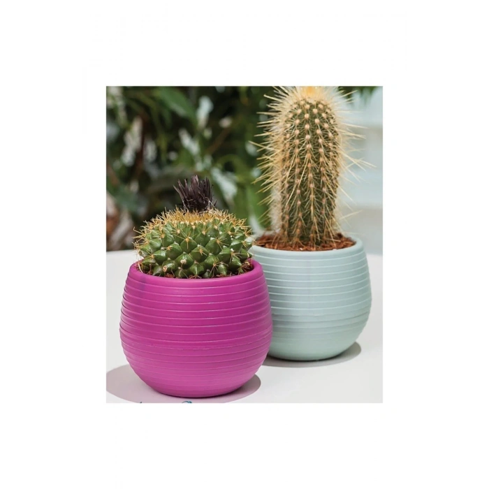 Bitki Ve Kaktüs Saksısı 0,13 Lt 1 No -ES01