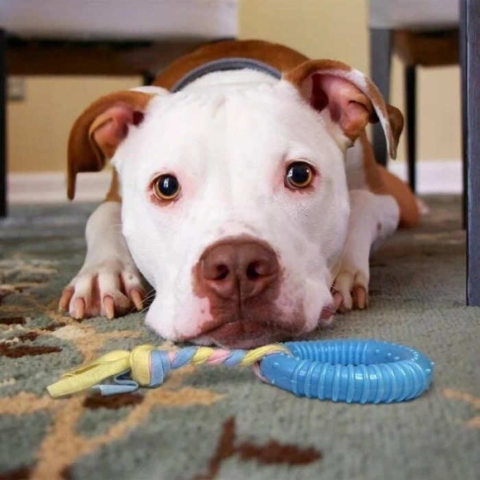 Dayanıklı Köpek Diş Kaşıyıcı Ve Çiğneme Oyuncağı