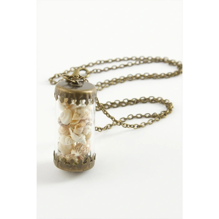 Deniz Kabuğu Fanus Canlı Kolye