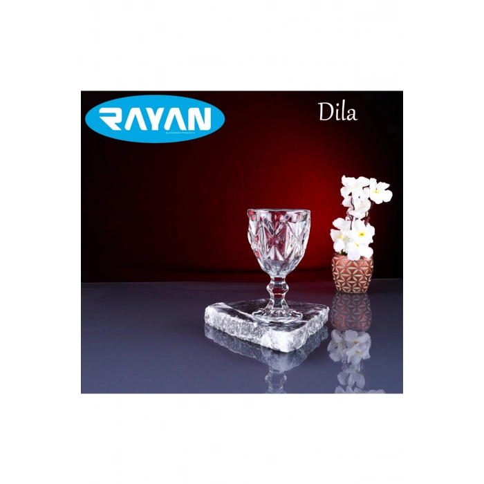 Dila 6lı Kahve Yanı Bardak -RYG8006