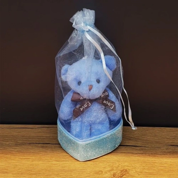 Doğum Günü Hediyesi Kese İçinde Ayıcık