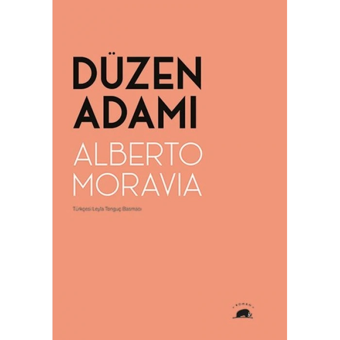 Düzen Adamı