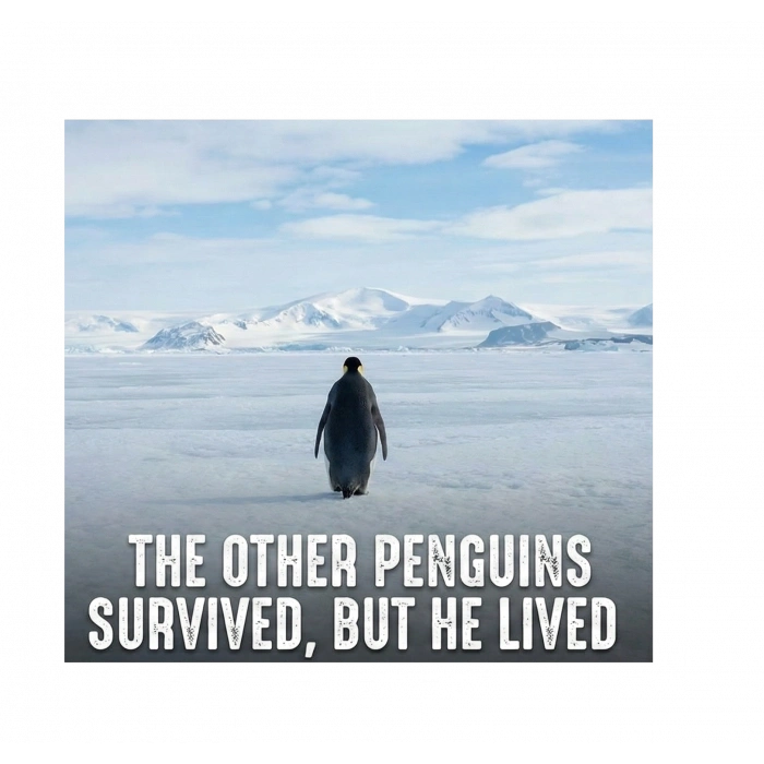 Erkek Survivor Penguin Baskılı 3 İplik Pamuklu Kapüşonlu Sweatshirt Hoodie Beyaz