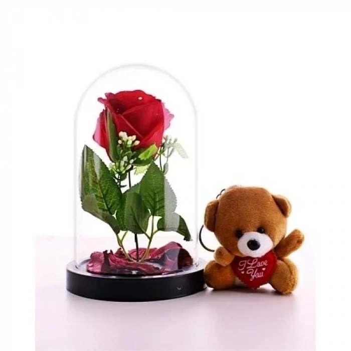 Fanusta Kırmızı Gül ve Mini Ayıcık Set Sevgiliye Hediye 01B