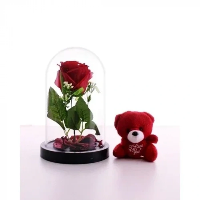 Fanusta Led Işıklı Kırmızı Gül ve Kırmızı Mini Ayıcık Set Sevgiliye Hediye 01W
