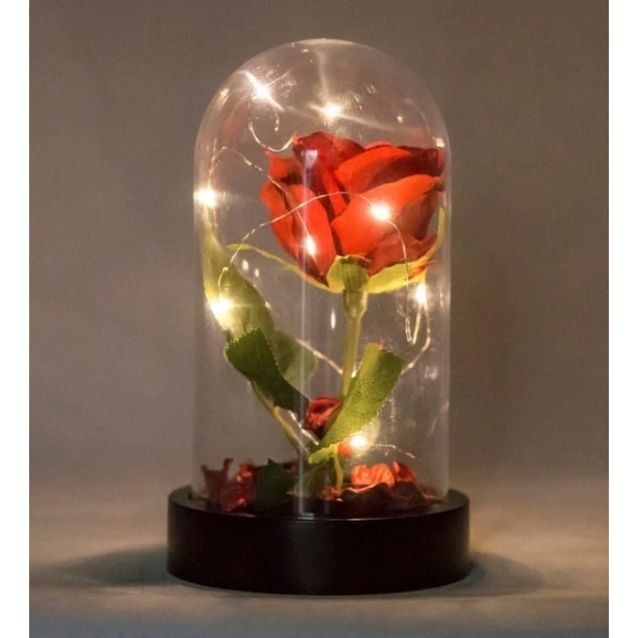 Fanusta Led Işıklı Kırmızı Gül ve Mini Ayıcık Set Sevgiliye Hediye 01A