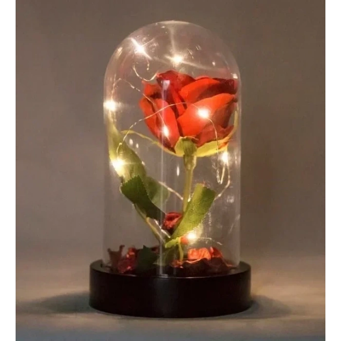 Fanusta Led Işıklı Kırmızı Gül ve Mini Ayıcık Set Sevgiliye Hediye 01A