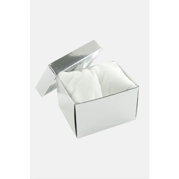 Gümüş Renkli Kapaklı Saat Kutusu