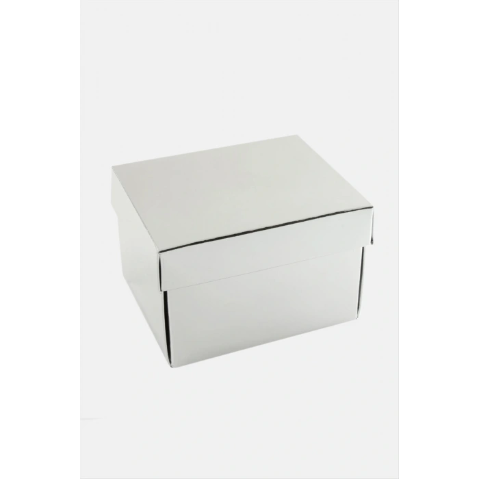 Gümüş Renkli Kapaklı Saat Kutusu