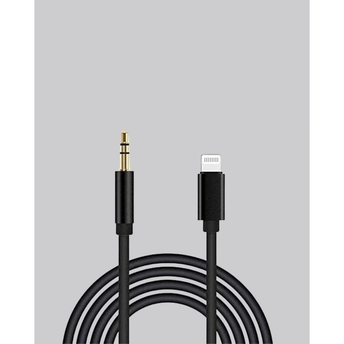 İphone Aux