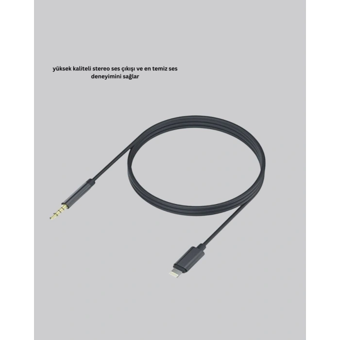 İphone Aux
