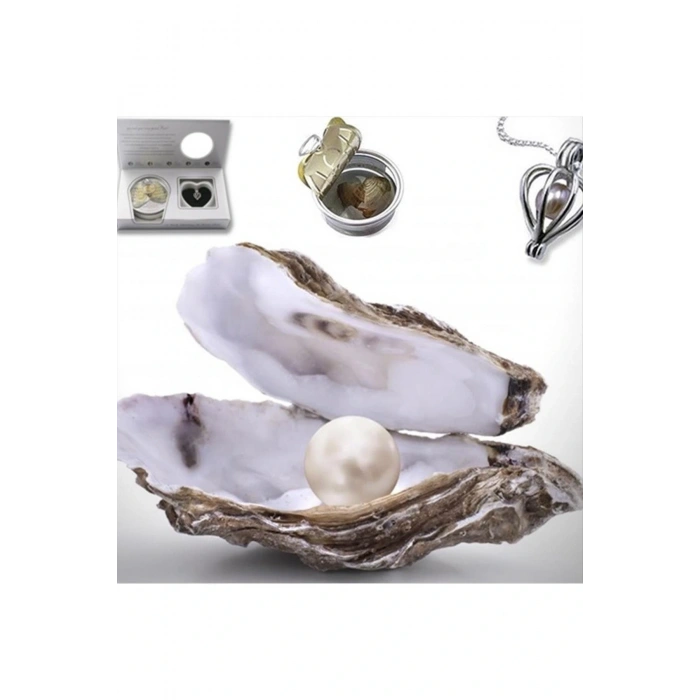 İstiridye İçinde Gerçek İnci Kolye