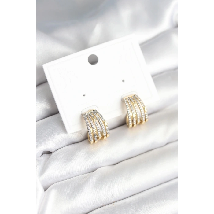 Kaburga Model Zirkon Taşlı Pirinç Kadın Küpe - TJ-BKP11310