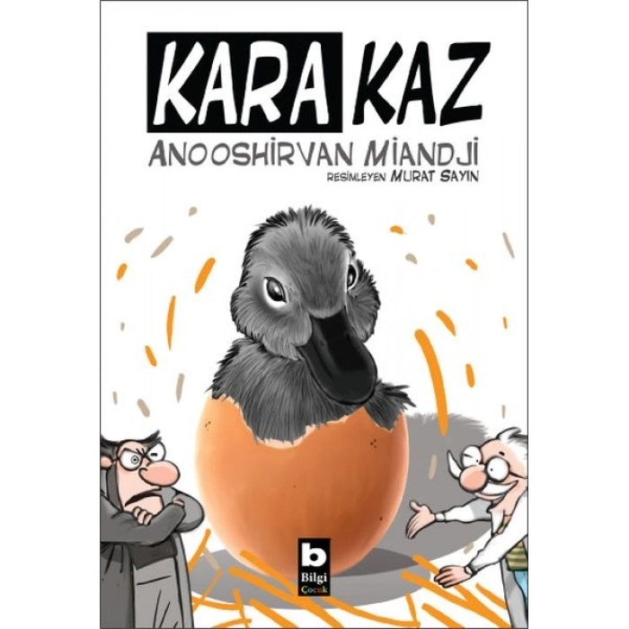 Kara Kaz