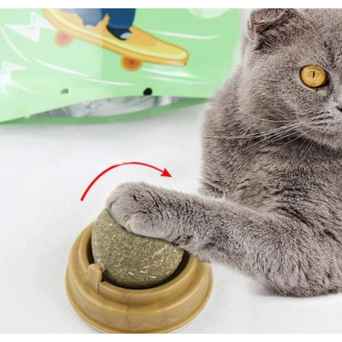 Kedi Otu Oyun Topu