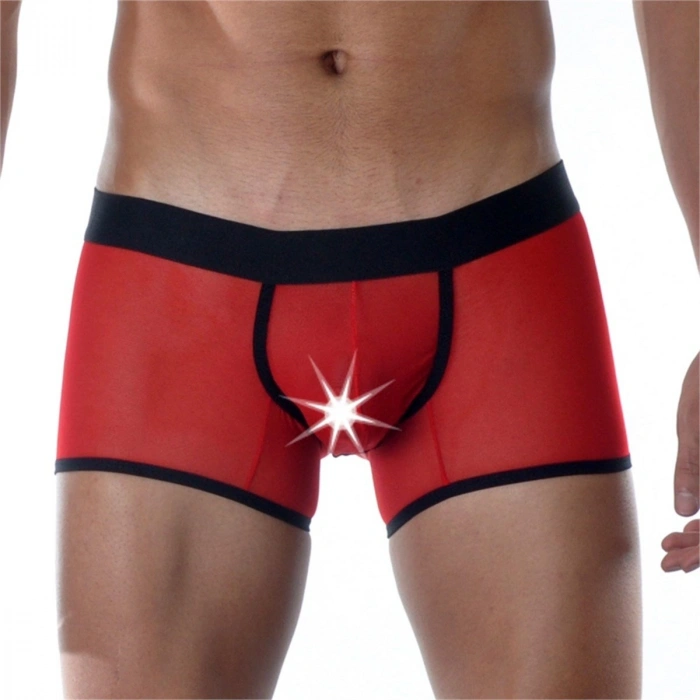 Kırmızı Erkek  Boxer