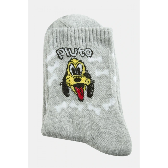 Köpek Kolej Çorap 8*28