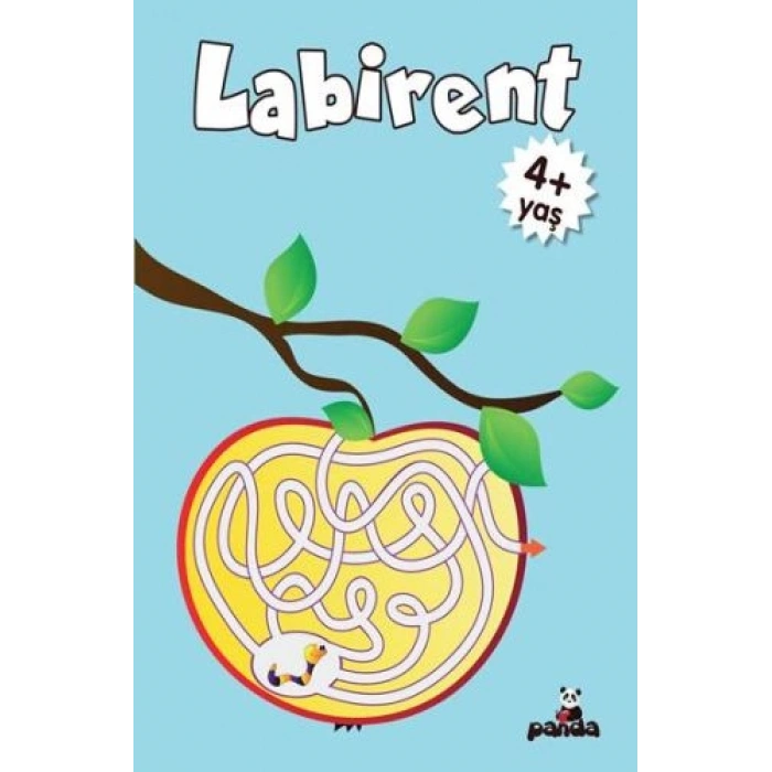 Labirent 4 Yaş