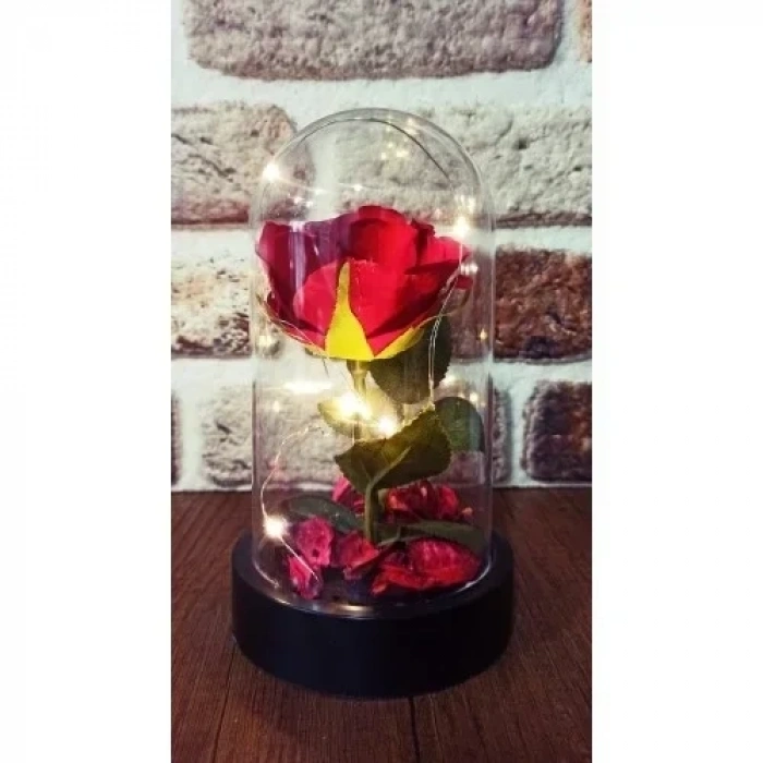 Led Işıklı Şeffaf Mika Fanusta Işıklı Gül Kırmızı