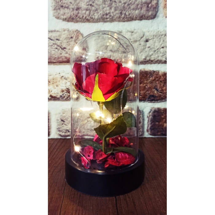 Led Işıklı Şeffaf Mika Fanusta Işıklı  Gül Kırmızı