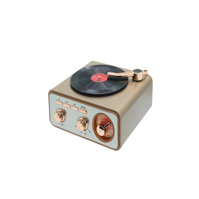 Metalik Nostaljik Tasarım Plak Çalar Görünümlü Radyolu Bluetooth Hoparlör Retro Müzik Plak