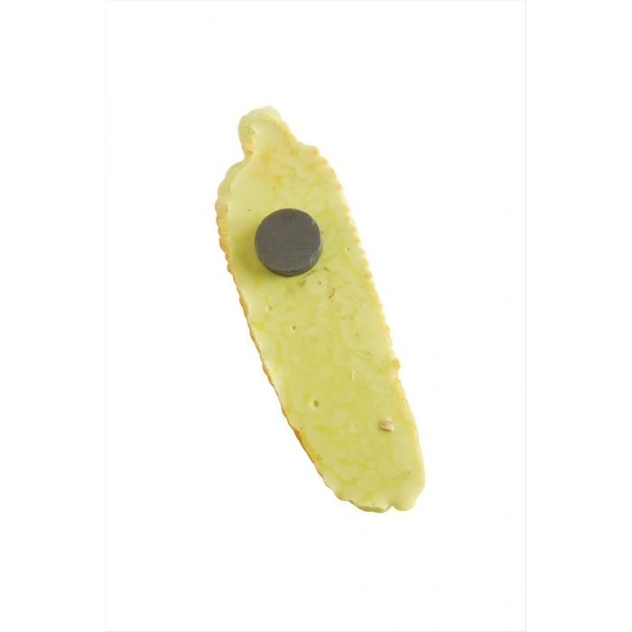 Mısır Magnet