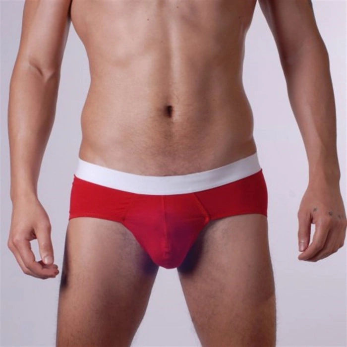 MODLİVE Don Moris DM140502  Slip Çamaşır