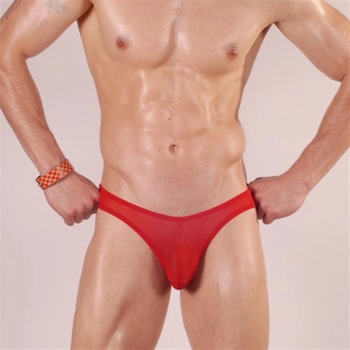MODLİVE Don Moris DM140521 Slip Çamaşır
