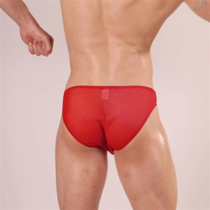 MODLİVE Don Moris DM140521 Slip Çamaşır