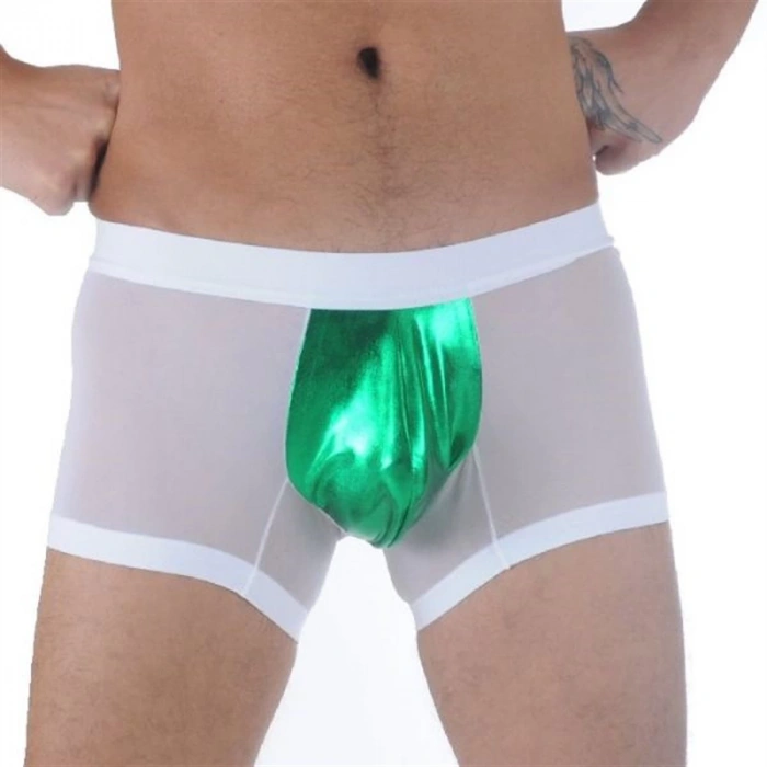 MARSİLYAN- Don Moris DM291109 Transparan Boxer