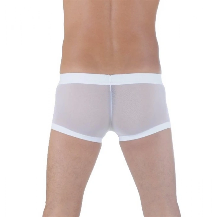 MARSİLYAN- Don Moris DM291125 Transparan Boxer