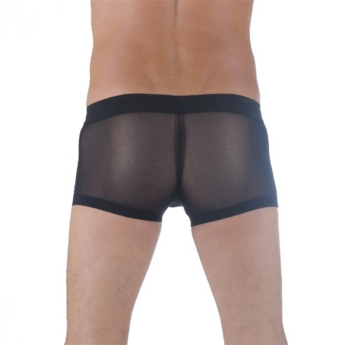 MODLİVE Don Moris DM291137 Transparan Erkek Boxer