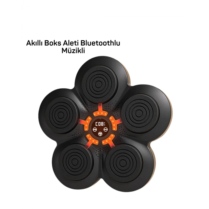 Müzik Box Makinesi