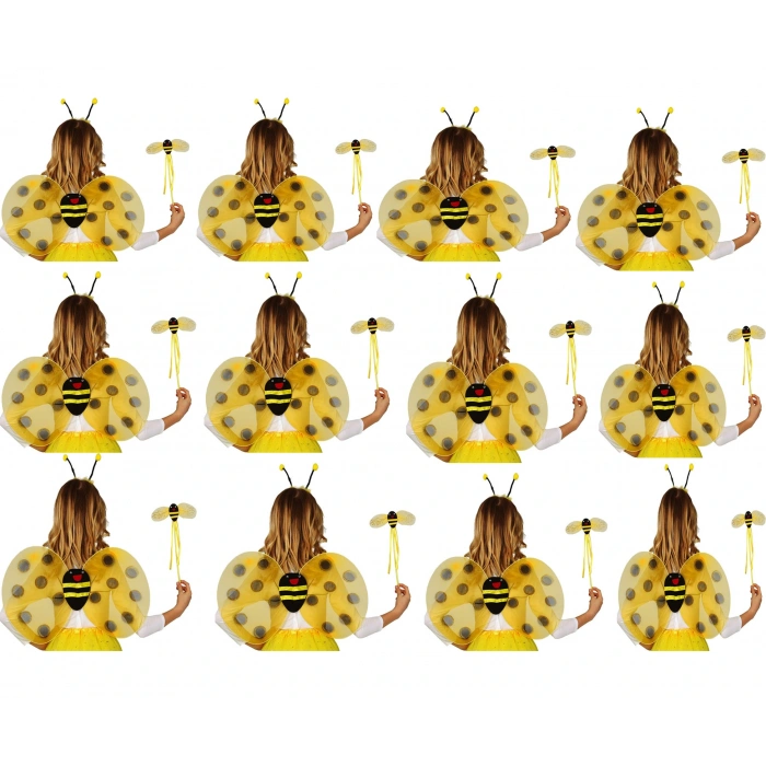 Okul Gösterileri için 12 li Arı Kanadı Seti - Etkinlik Kanatları