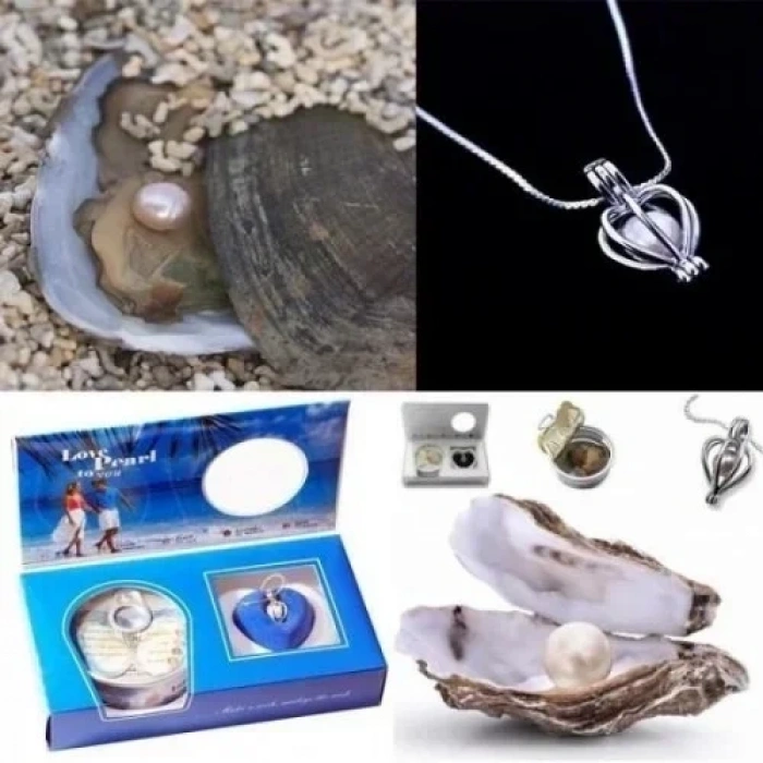 Özel Kutusunda 9 Adet Yapay Gül  ve İstiridye İçinde İnci Kolye Seti Hediyelik 001