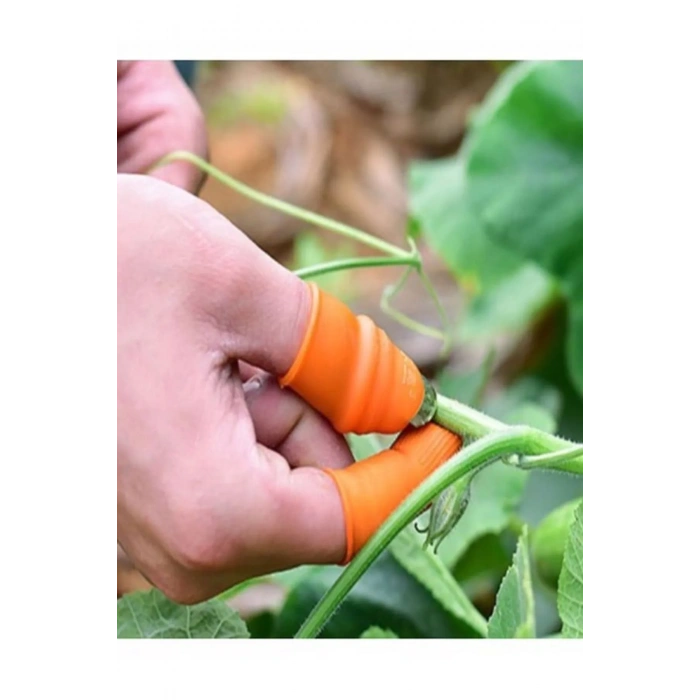 Pratik Baş Parmak Sebze Kesme Ayıklayıcı -1277