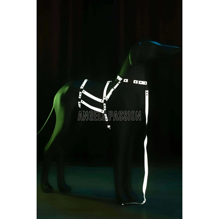 Reflektörlü - Ayarlanabilir Köpek Harness - Köpek Gezdirme Aparatı - Npd007